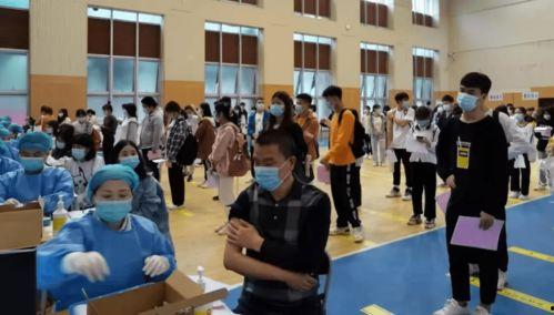 乌丹记者爆料最新消息视频,视频揭露惊人内幕！  第2张